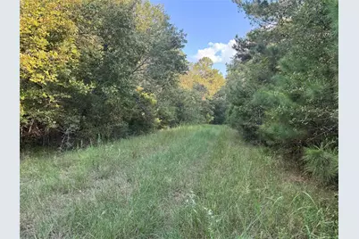 22630 Foxwood Drive, Navasota, TX 77868 - Photo 7