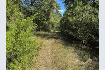 22630 Foxwood Drive, Navasota, TX 77868 - Photo 3