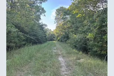 22630 Foxwood Drive, Navasota, TX 77868 - Photo 5