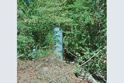 1705 Spring Ridge Road, Coldspring, TX 77331 - Photo 23