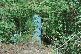 1705 Spring Ridge Rd, Coldspring, TX 77331 - Photo 23