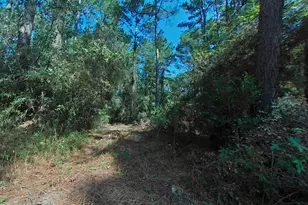 1705 Spring Ridge Rd, Coldspring, TX 77331 - Photo 25