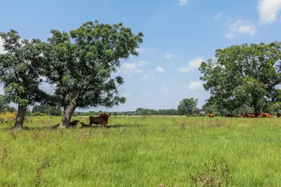 Tbd Johnston Road, Wallis, TX 77485 - Photo 21