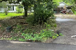 6814 Evans St, Houston, TX 77061 - Photo 5