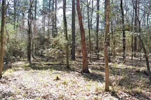 5 Magnolia Ct, Trinity, TX 75862 - Photo 1