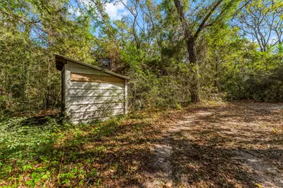 12533 Evergreen Road, Conroe, TX 77303 - Photo 5