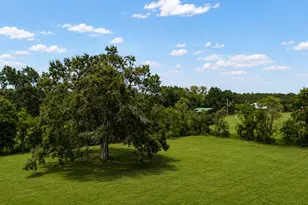 1536 Fm 253 Rd, Buna, TX 77612 - Photo 11