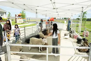 16806 Old Wagon Way, Hockley, TX 77447 - Photo 35
