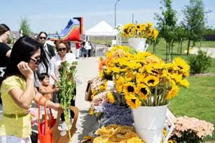 16806 Old Wagon Way, Hockley, TX 77447 - Photo 33