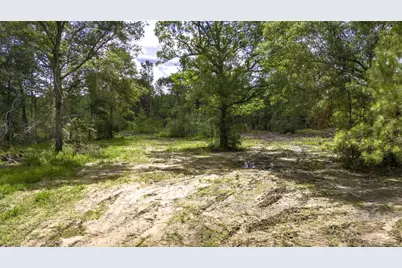 Tbd Lot 003 Holland Road, Moscow, TX 75960 - Photo 1