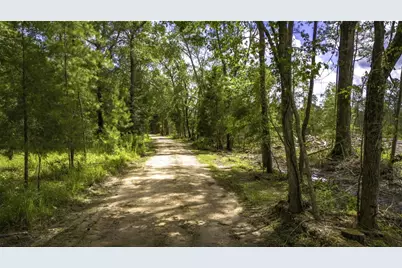 Tbd Lot 003 Holland Road, Moscow, TX 75960 - Photo 7