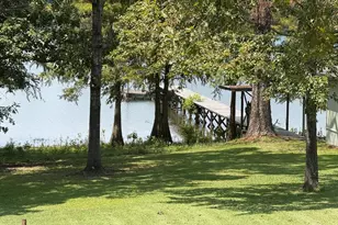207 Fisher's Point, Burkeville, TX 75932 - Photo 3
