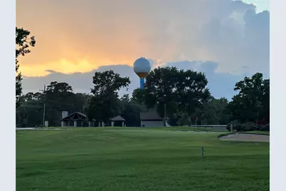 97 Panorama Drive, Panorama Village, TX 77304 - Photo 39
