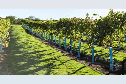 14615 Cedar Elm Court, Willis, TX 77318 - Photo 11