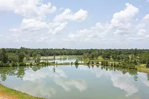 541 Shoreview Dr, Conroe, TX 77303 - Photo 23