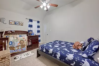 29026 Crystal Rose Lane, Fulshear, TX 77441 - Photo 29