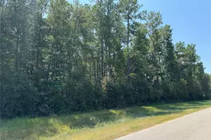 Tbd Autumn Bend Dr, Conroe, TX 77303 - Photo 7