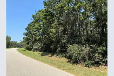Tbd Autumn Bend Dr, Conroe, TX 77303 - Photo 5