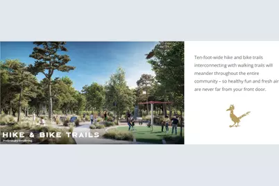 41742 Wendele Way, Montgomery, TX 77316 - Photo 41