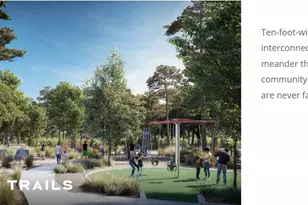 41742 Wendele Wy, Montgomery, TX 77316 - Photo 41