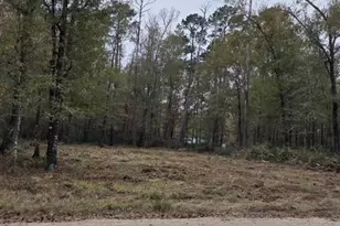 222 Wendy Way, Livingston, TX 77351 - Photo 1