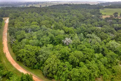 542 Fm-542, Centerville, TX 75833 - Photo 5