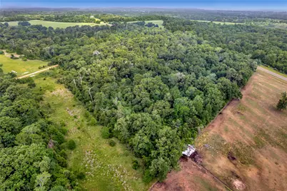 542 Fm-542, Centerville, TX 75833 - Photo 9