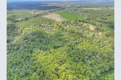 446 County Road 3550, Woodville, TX 75979 - Photo 37
