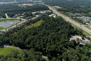 5030-1 W Davis St, Conroe, TX 77304 - Photo 13