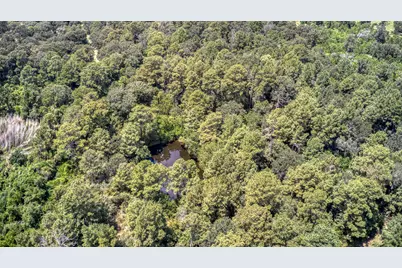 2160 Bowler Road, Waller, TX 77484 - Photo 9