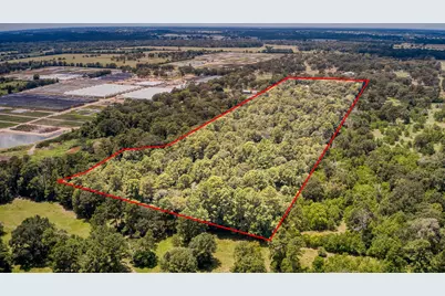 2160 Bowler Road, Waller, TX 77484 - Photo 5