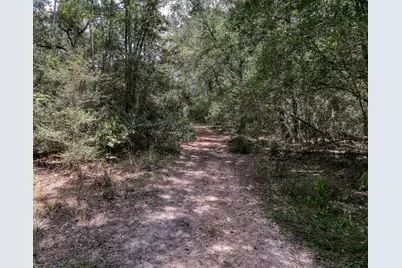 2160 Bowler Road, Waller, TX 77484 - Photo 21