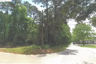 0 N Hwy 75 Hwy, Willis, TX 77378 - Photo 9