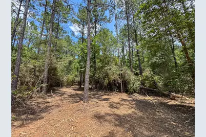 T-8 Benny Griffin Road, Livingston, TX 77351 - Photo 11