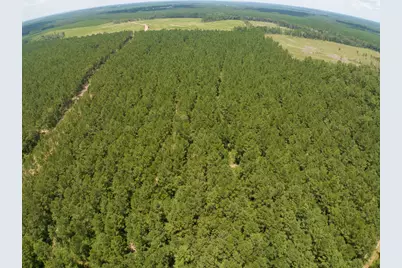 T-8 Benny Griffin Road, Livingston, TX 77351 - Photo 19