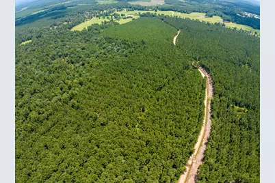 T-8 Benny Griffin Road, Livingston, TX 77351 - Photo 17