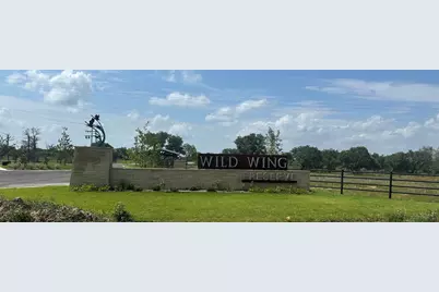 Tbd Gadwall Lane, Columbus, TX 77470 - Photo 13