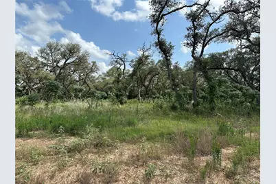 Tbd Gadwall Lane, Columbus, TX 77470 - Photo 7