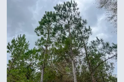 1 Highway 87, Newton, TX 75966 - Photo 11