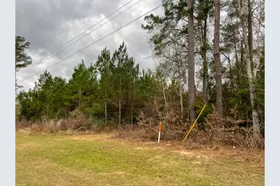 1 Highway 87, Newton, TX 75966 - Photo 7