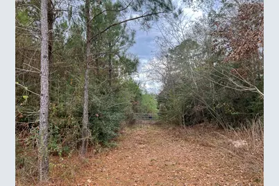 1 Highway 87, Newton, TX 75966 - Photo 3