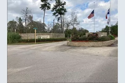 21438 Doru Drive, Cleveland, TX 77328 - Photo 9