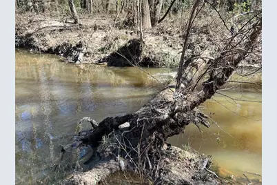 21438 Doru Drive, Cleveland, TX 77328 - Photo 31