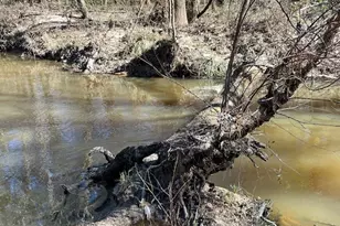 21438 Doru Dr, Cleveland, TX 77328 - Photo 31