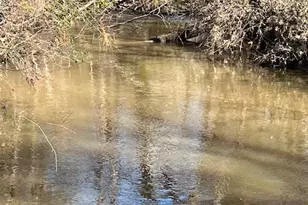 21438 Doru Dr, Cleveland, TX 77328 - Photo 37