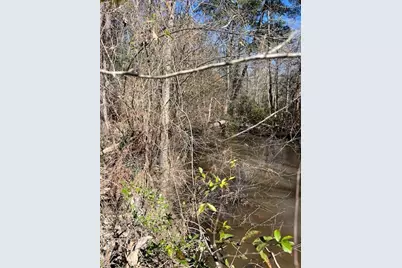 21438 Doru Drive, Cleveland, TX 77328 - Photo 41