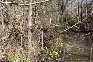 21438 Doru Dr, Cleveland, TX 77328 - Photo 41