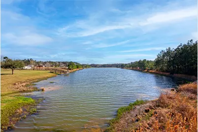 21438 Doru Drive, Cleveland, TX 77328 - Photo 45