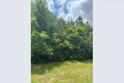 21438 Doru Drive, Cleveland, TX 77328 - Photo 15