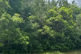 21438 Doru Dr, Cleveland, TX 77328 - Photo 15